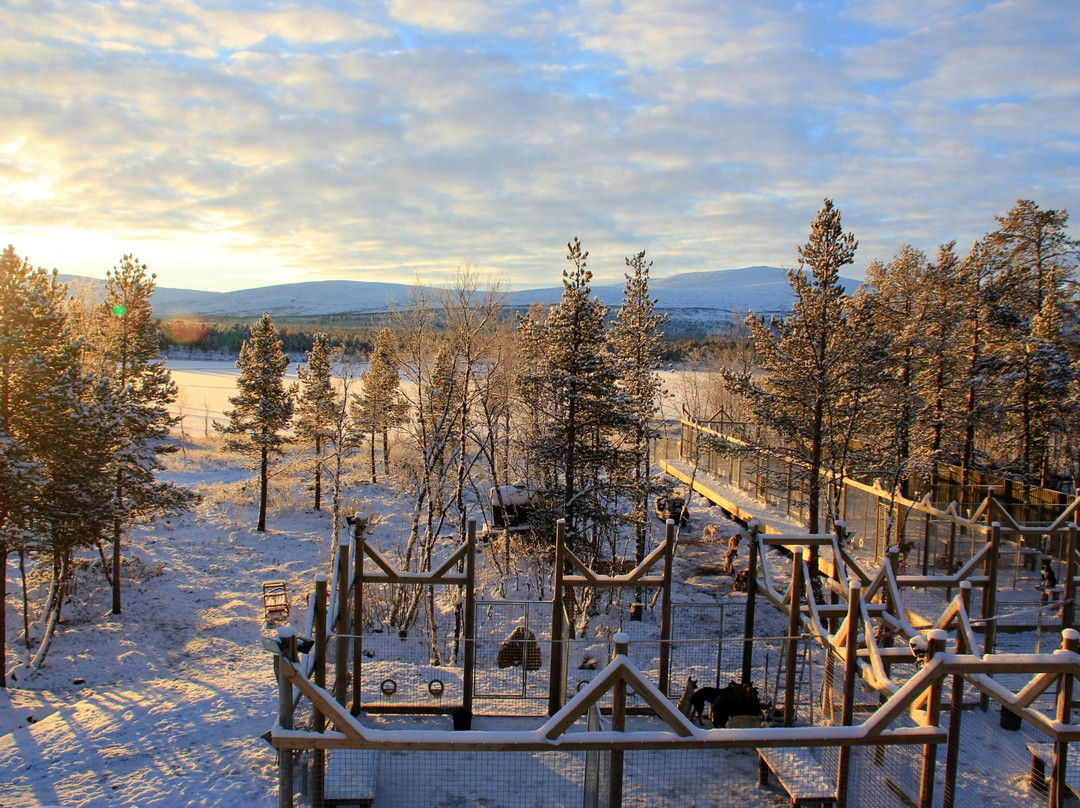 Husky Home-基律纳必去景点