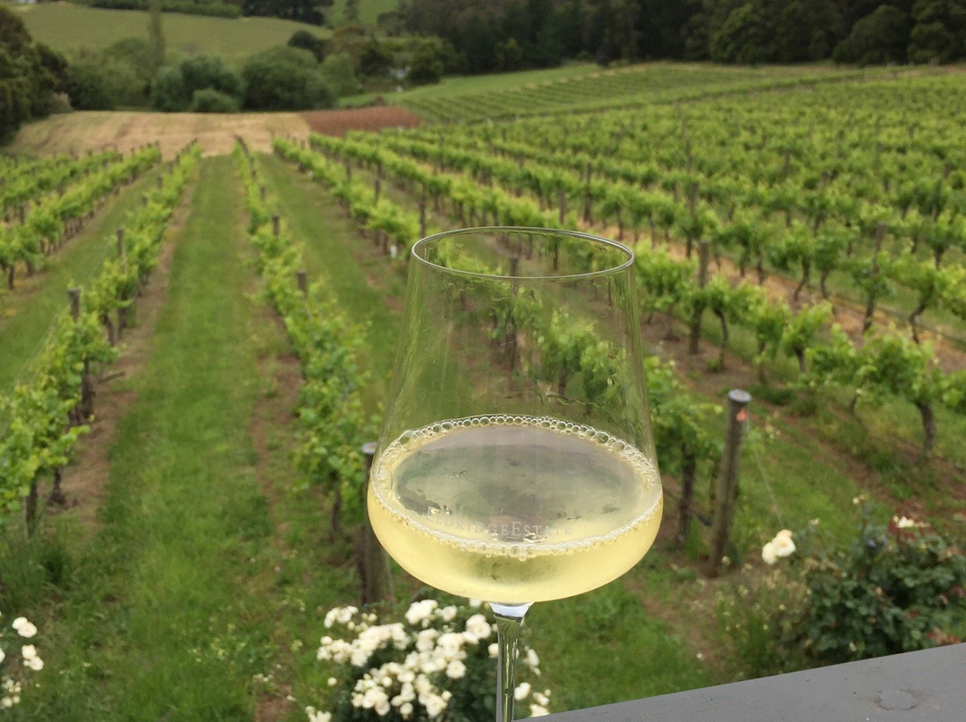 Estate Wine Tours景点图片
