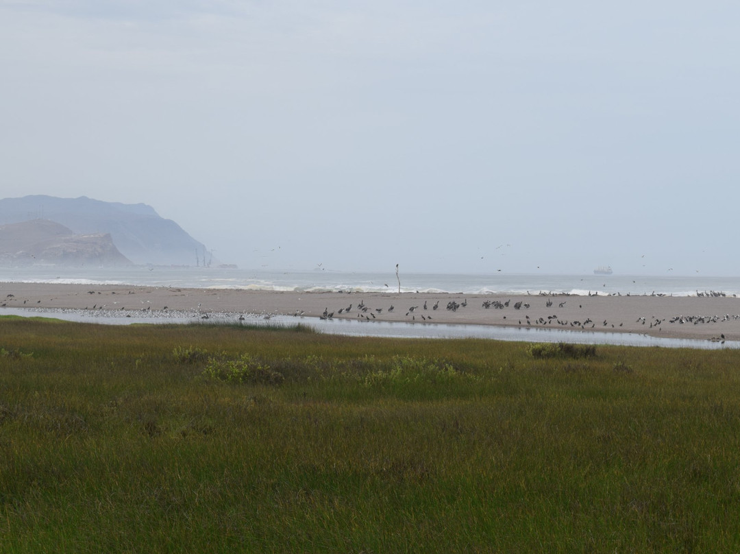 Humedal del Rio Lluta-阿里卡必去景点