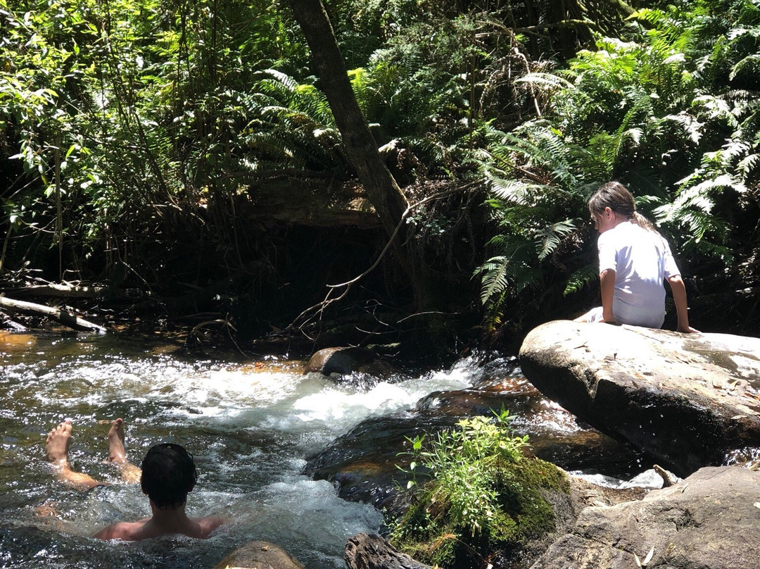 Mirimbah Park-Mirimbah必去景点