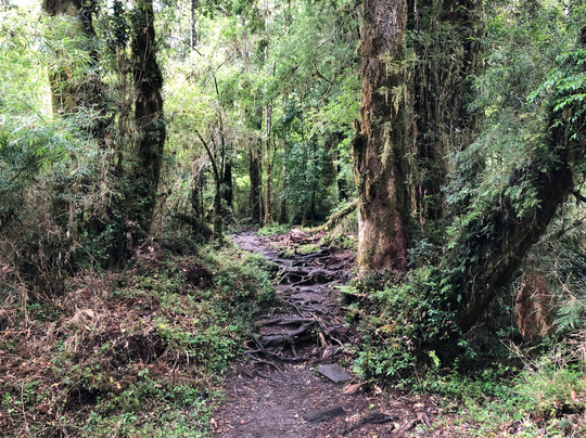 Contentour Puerto Varas-巴拉斯港必去景点