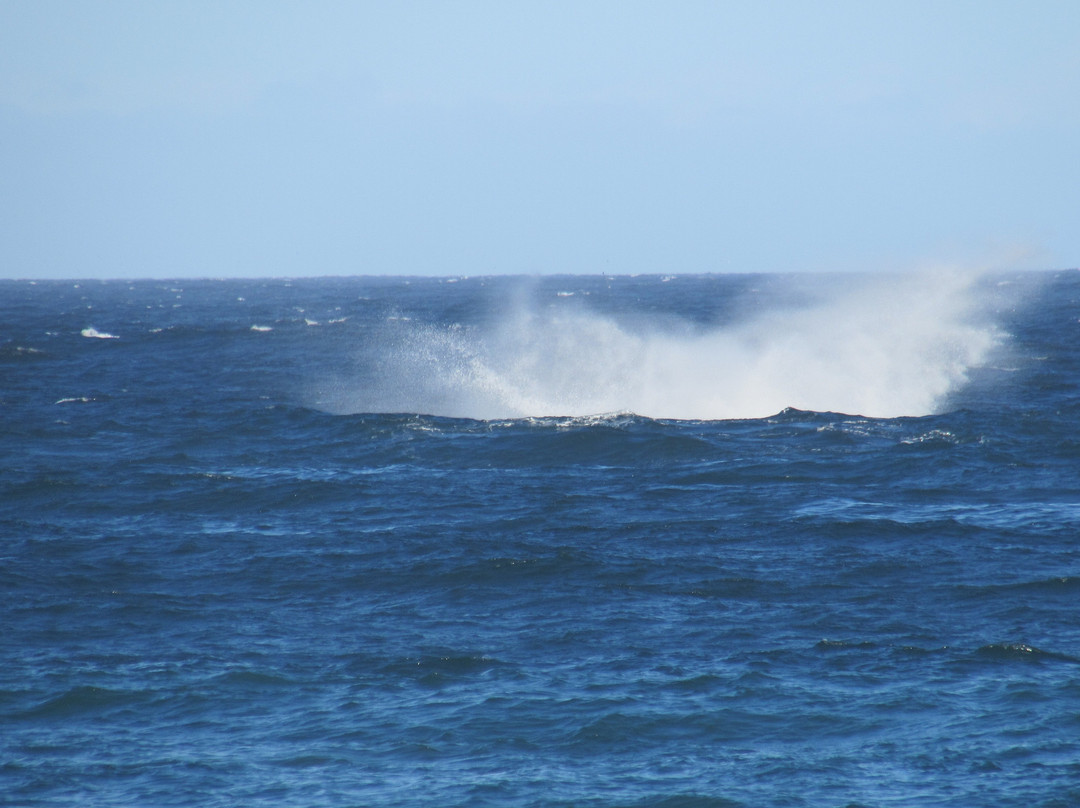 Ao Sul Natural-Imbituba必去景点