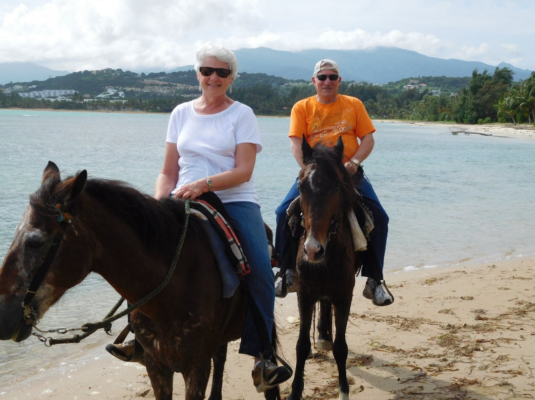 Catch a Dream Ranch-Rio Grande必去景点