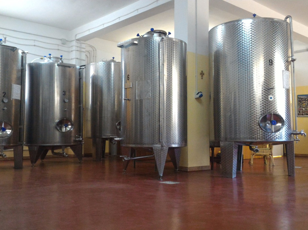 Cantina Rizzo景点图片