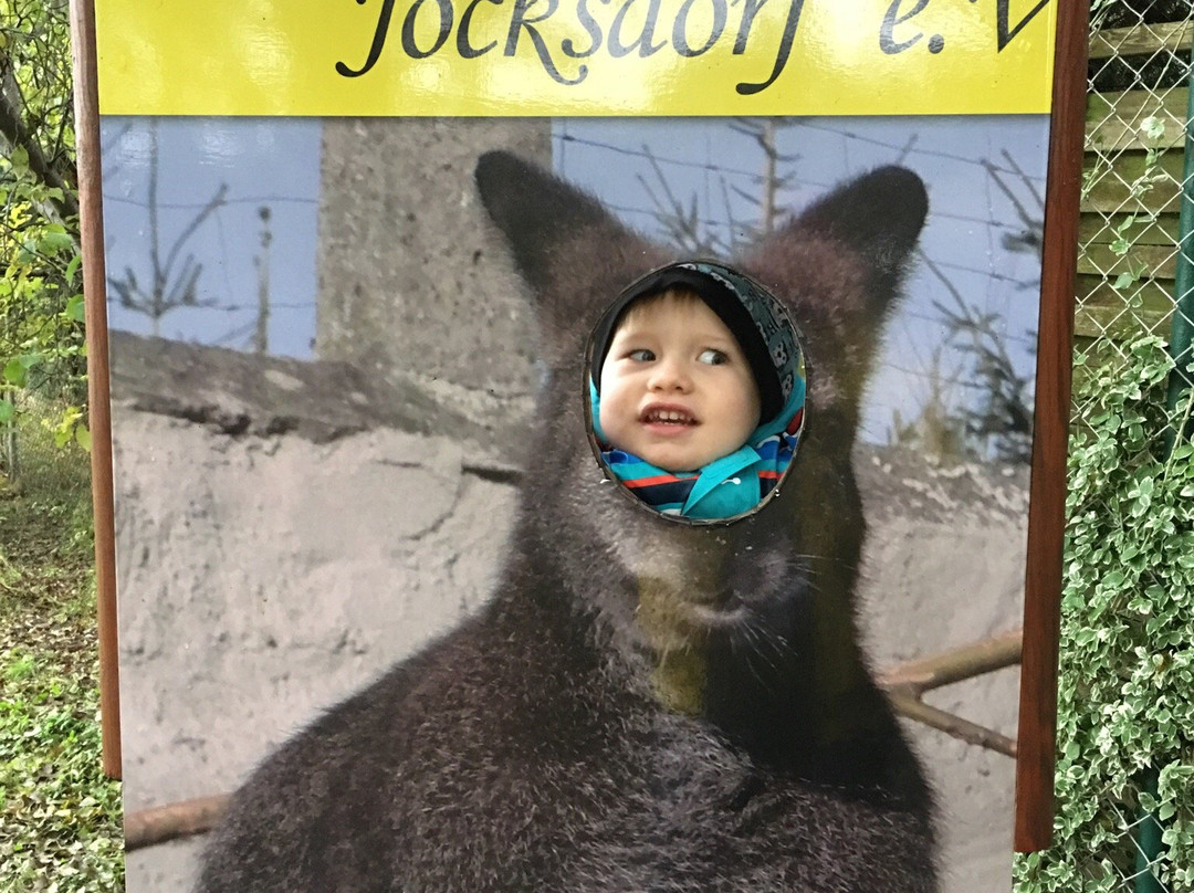 Affen-Zoo Jocksdorf景点图片