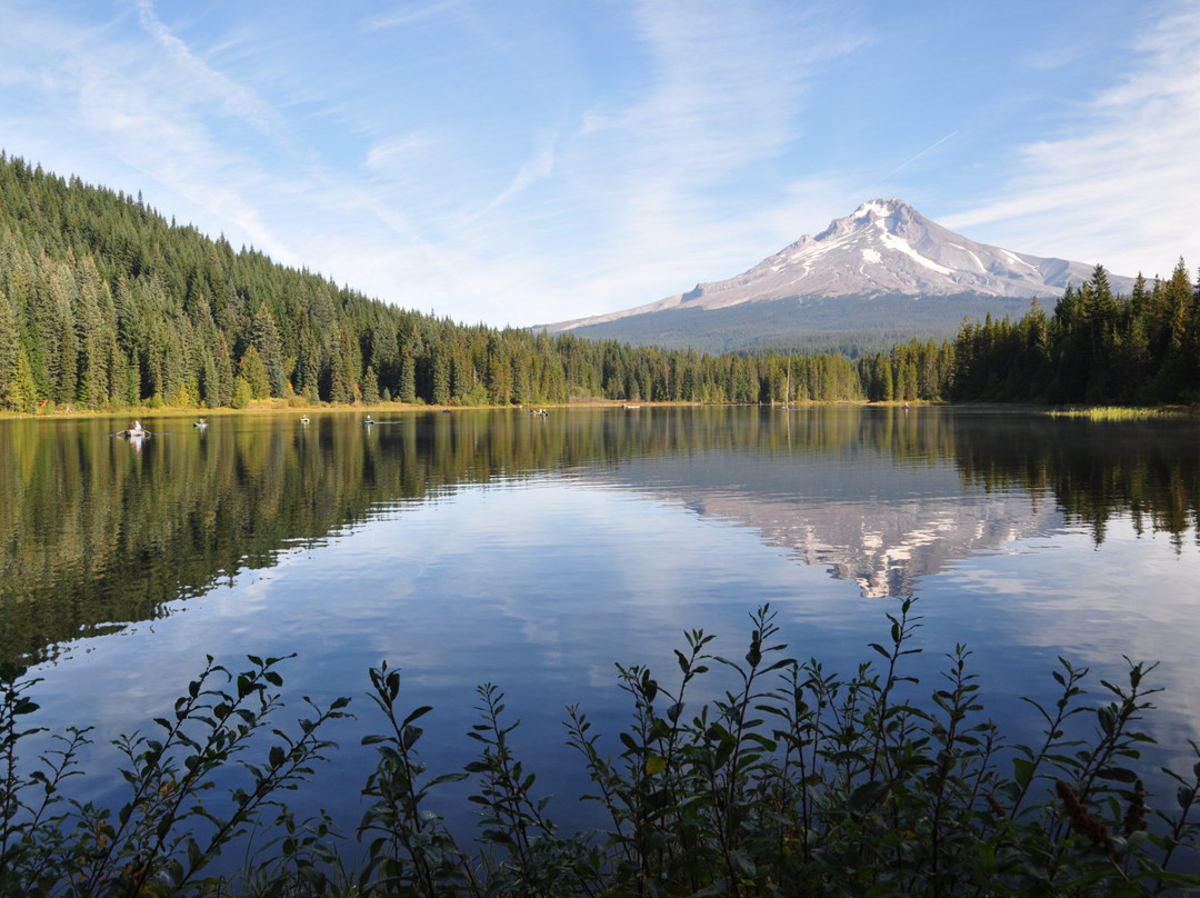 null-Government Camp