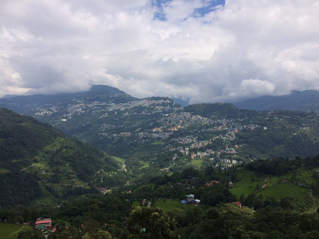 Treebo Trend D'wang Rumtek Resort主图