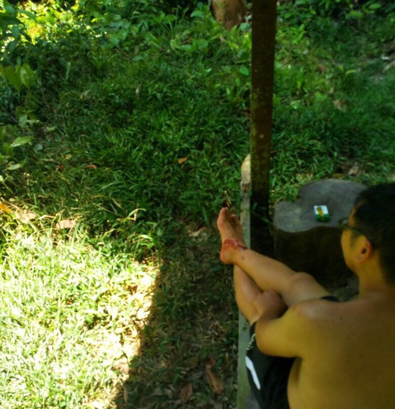 Gunung Mulu Summit Trek-姆鲁国家公园必去景点