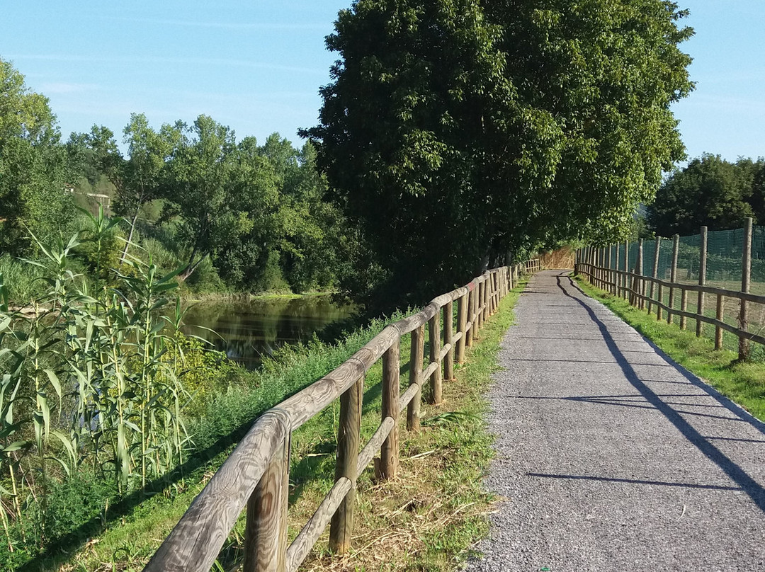 Ciclopista dell 'Arno-蒙泰卢波菲奥伦蒂诺必去景点