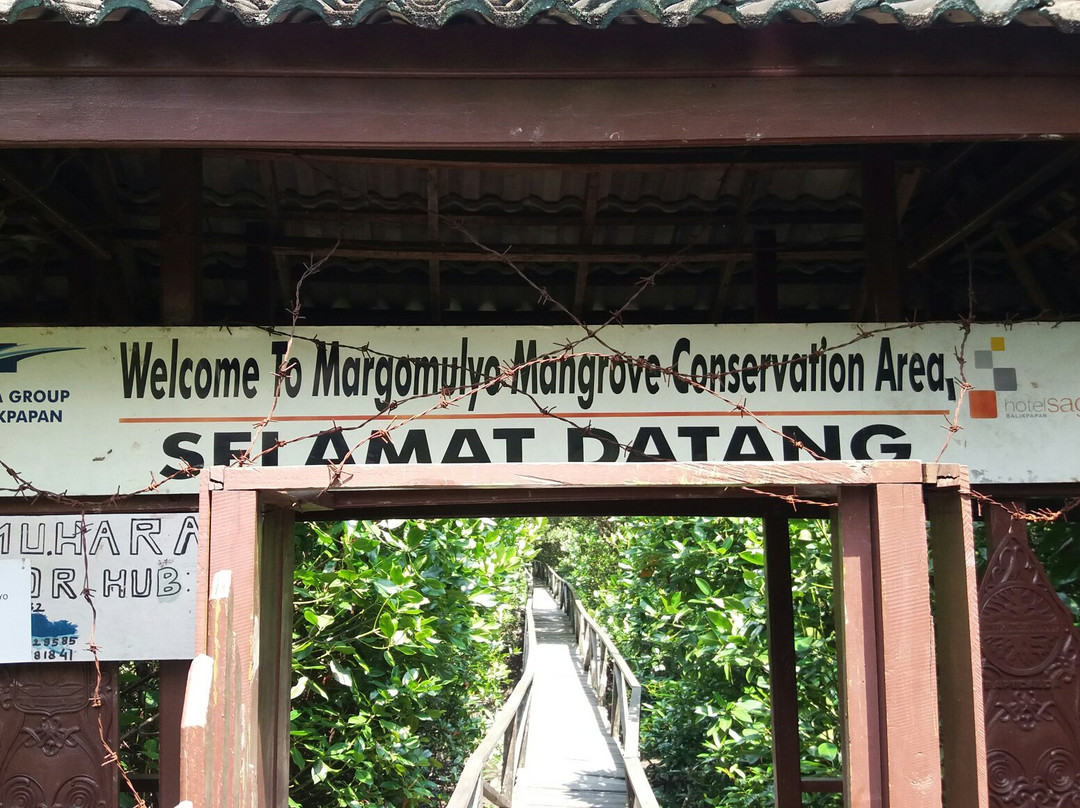 Margomulyo Mangrove Forest-巴厘巴板必去景点