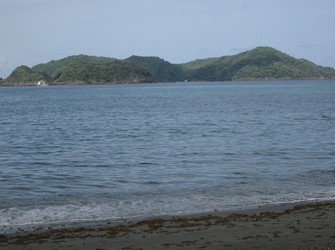 Goat Island-Northeast Coast必去景点