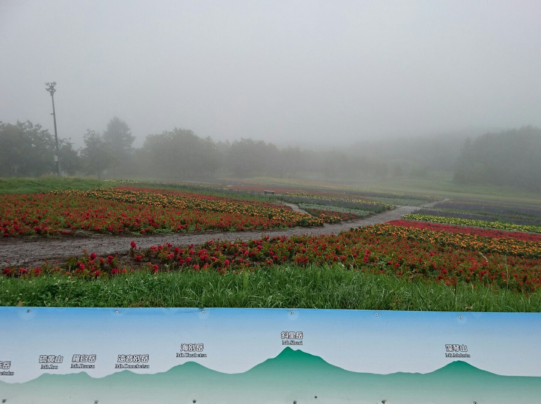 Abashiri  Lakeview Ski Resort-网走市必去景点