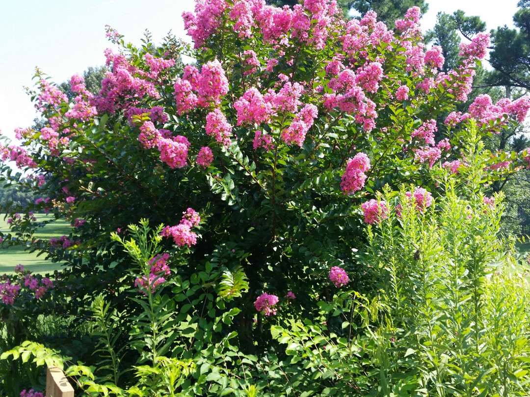 John J. Audubon State Park Golf Course-Henderson必去景点