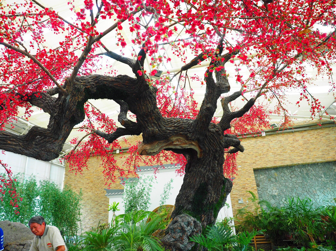 玛依塔柯酒店主图