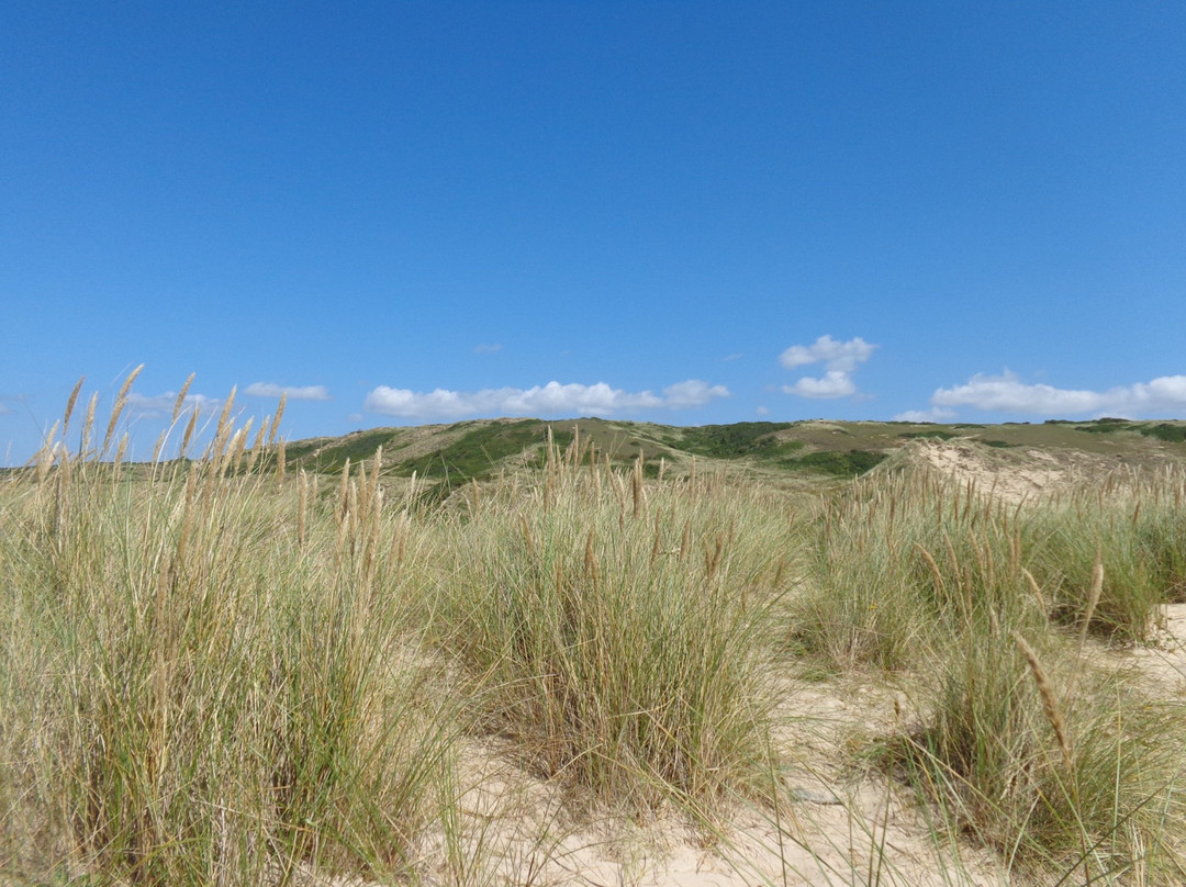 Dunes d'Hattainville景点图片