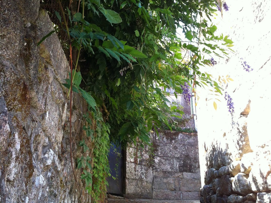 Cortegada de banos景点图片