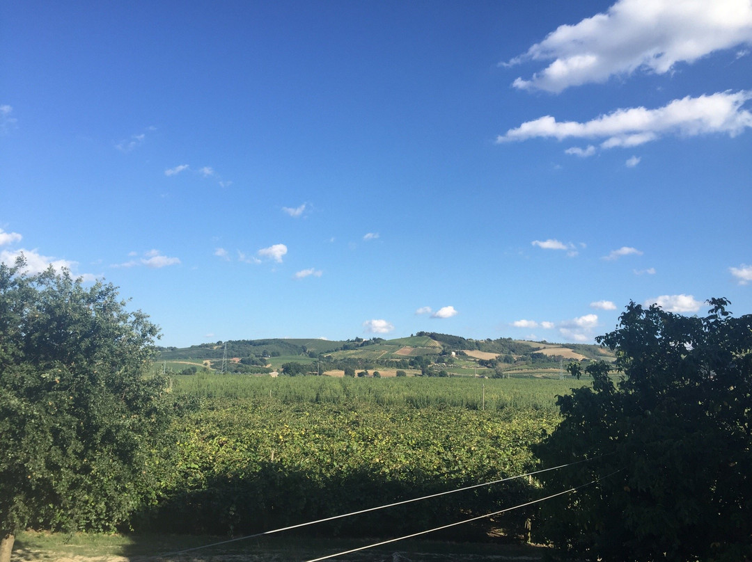 Agriturismo Calderino
