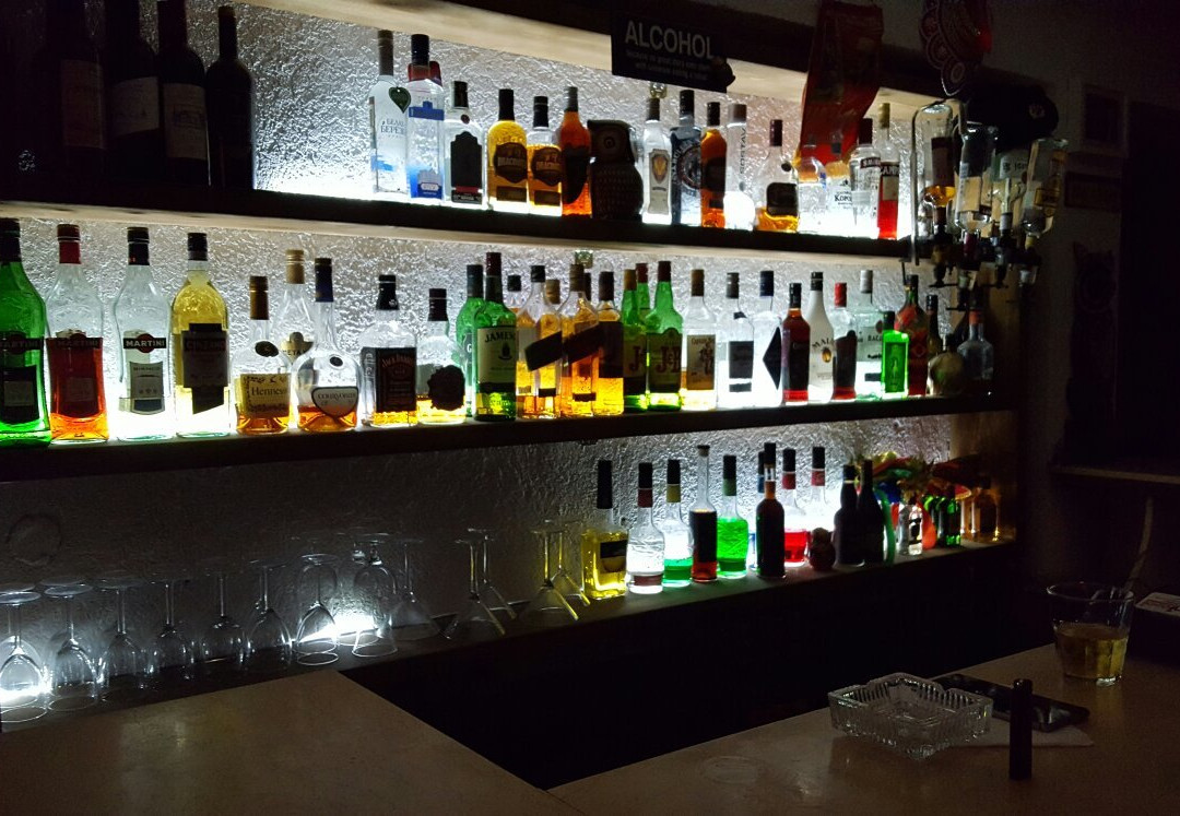 Karaoke Bar Poyushhaya Sova-拉纳加必去景点