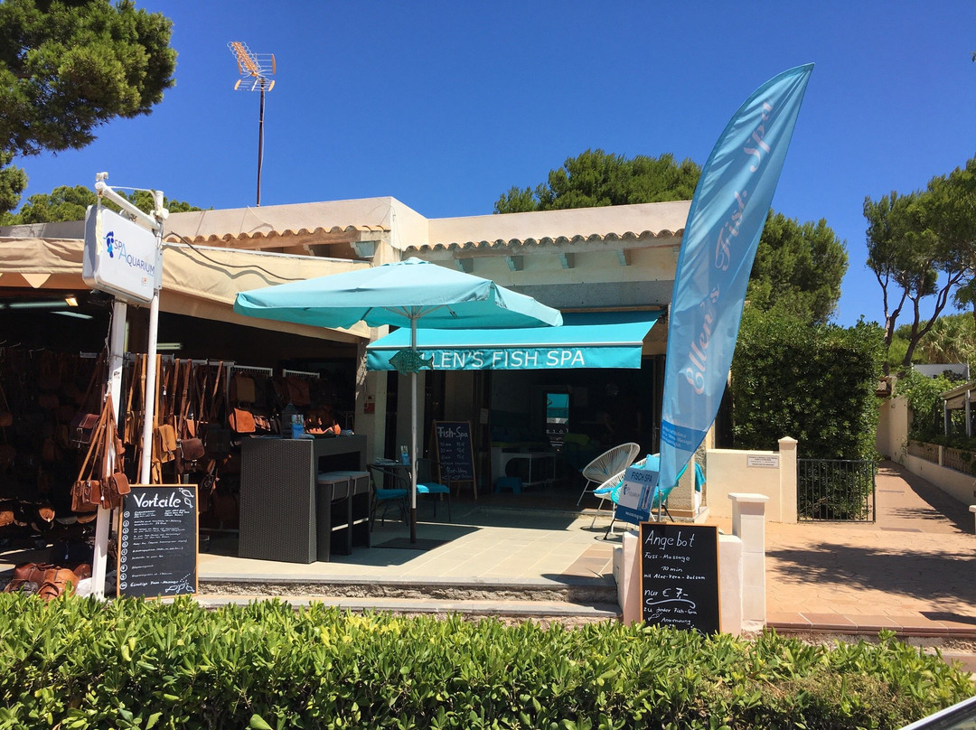 Cala Agulla旅游景点-Spa Aquarium