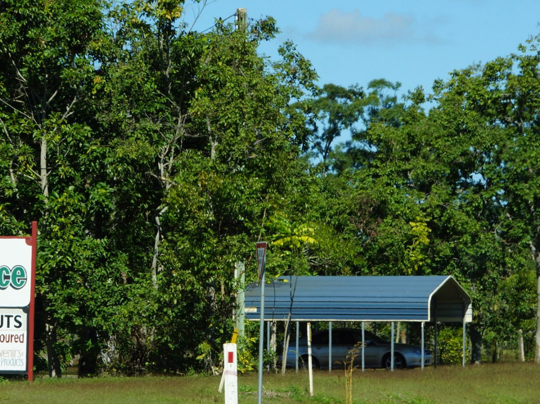 The Peanut Place-Tolga必去景点