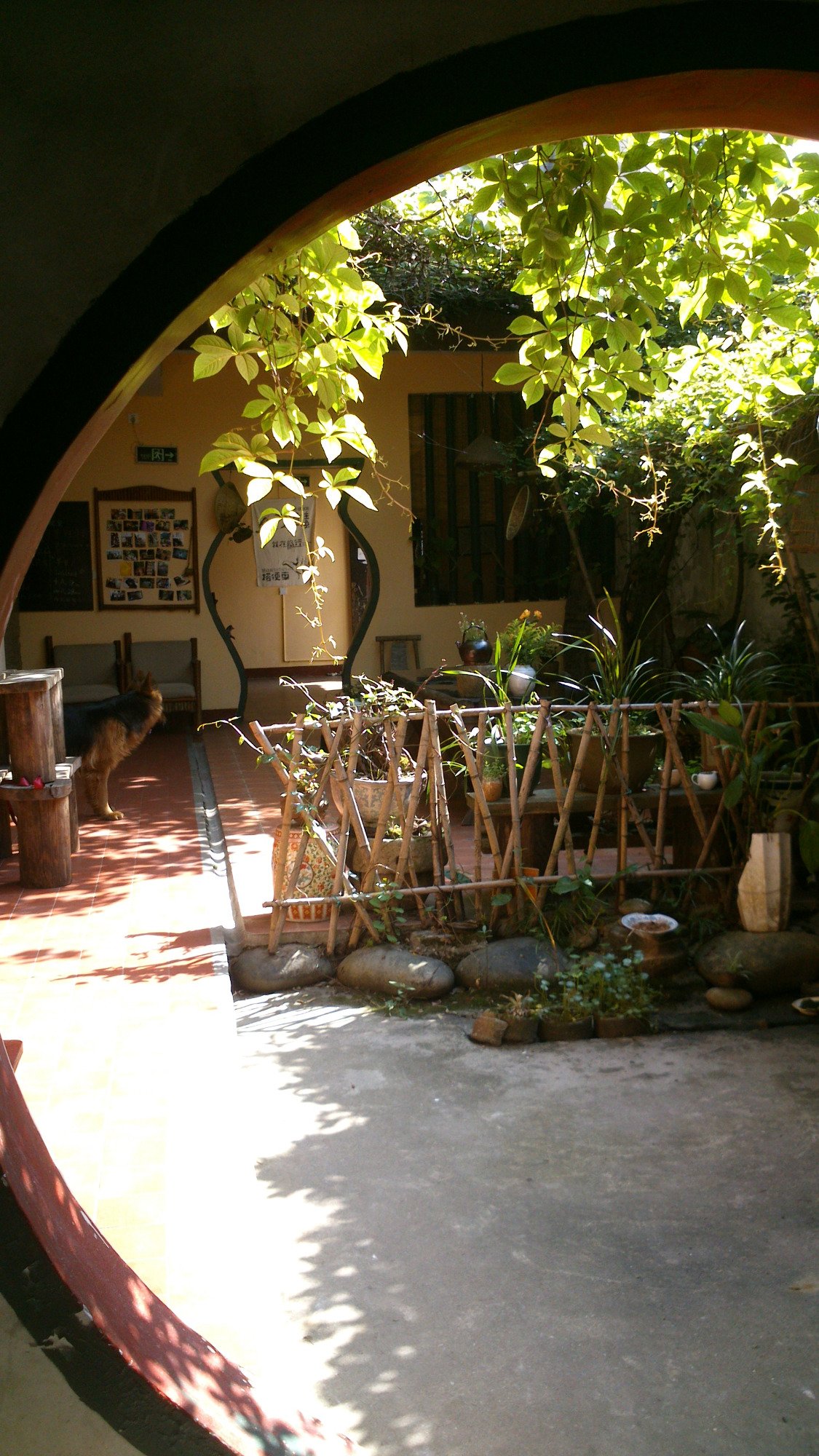 山茶花青年旅舍-官方