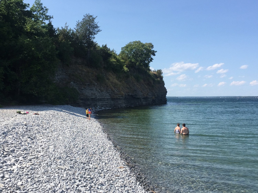 Little Bluff Conservation Area景点图片