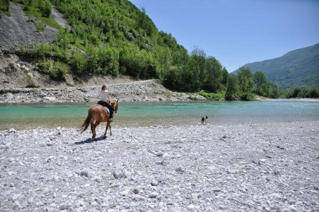 Ranch Pegaz景点图片