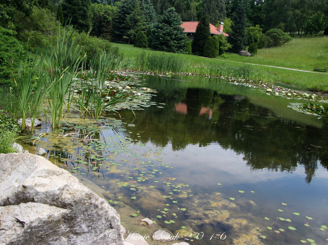 Slepcany旅游攻略图片