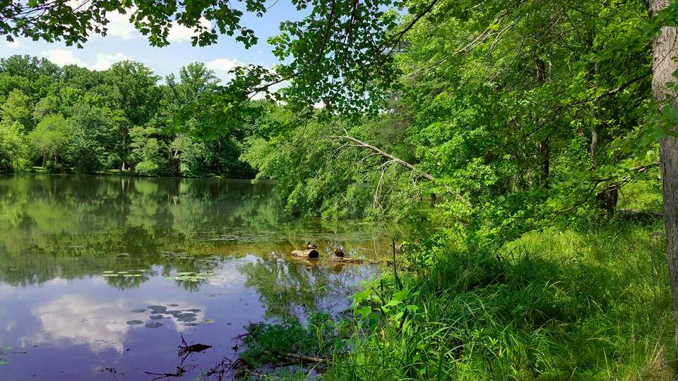 Buddy Attick Park-格林贝尔特必去景点