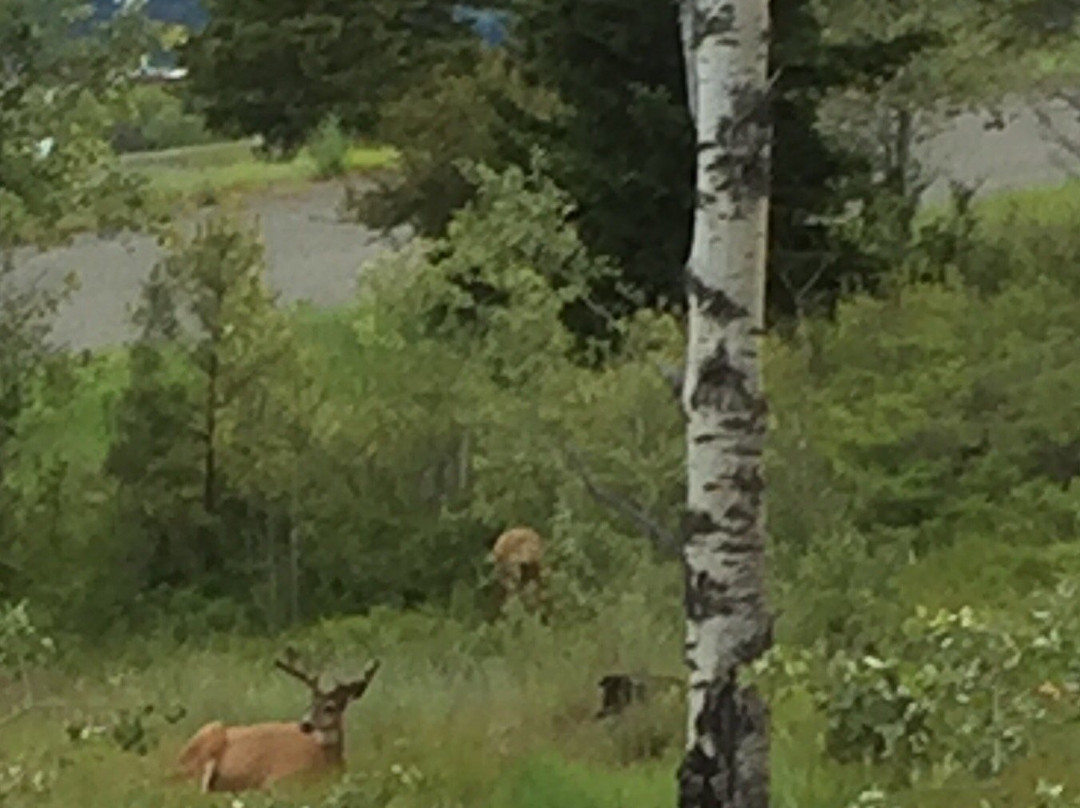 Meadow Creek Golf Club-Logan Lake必去景点