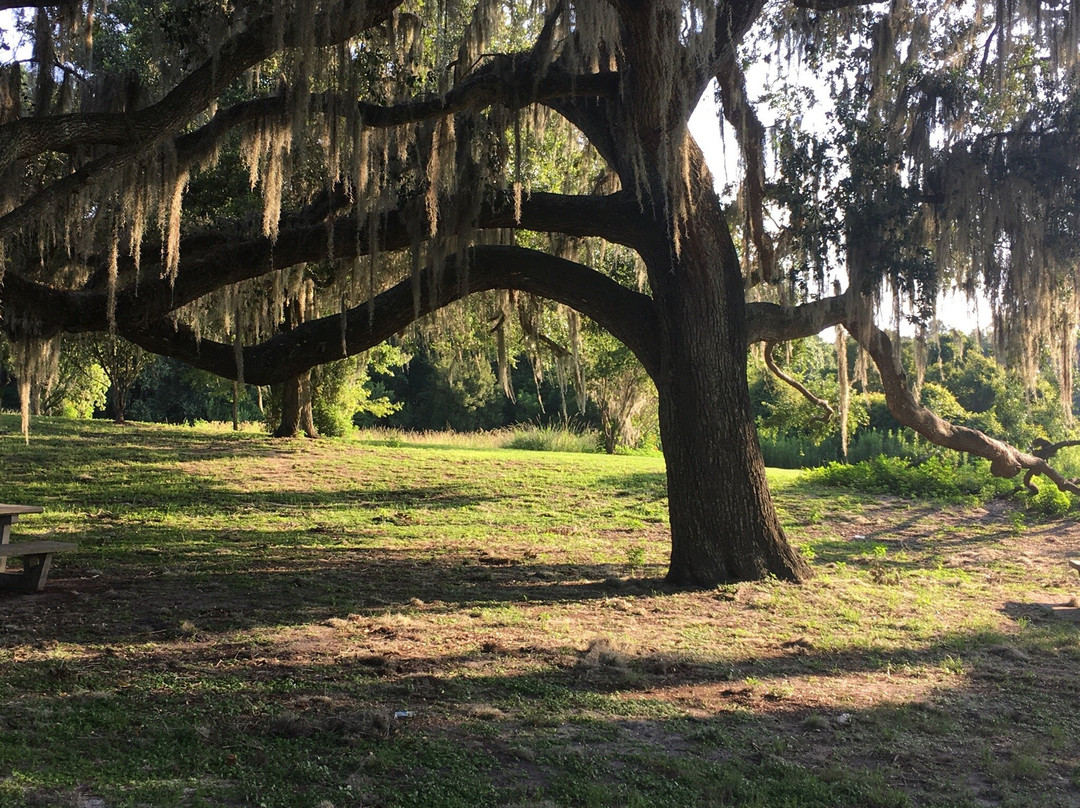 Kanapaha Park-盖恩斯维尔必去景点