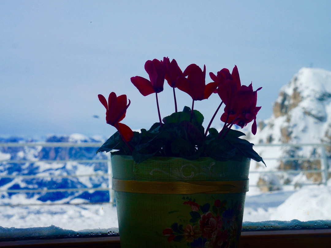 Rifugio Lagazuoi景点图片