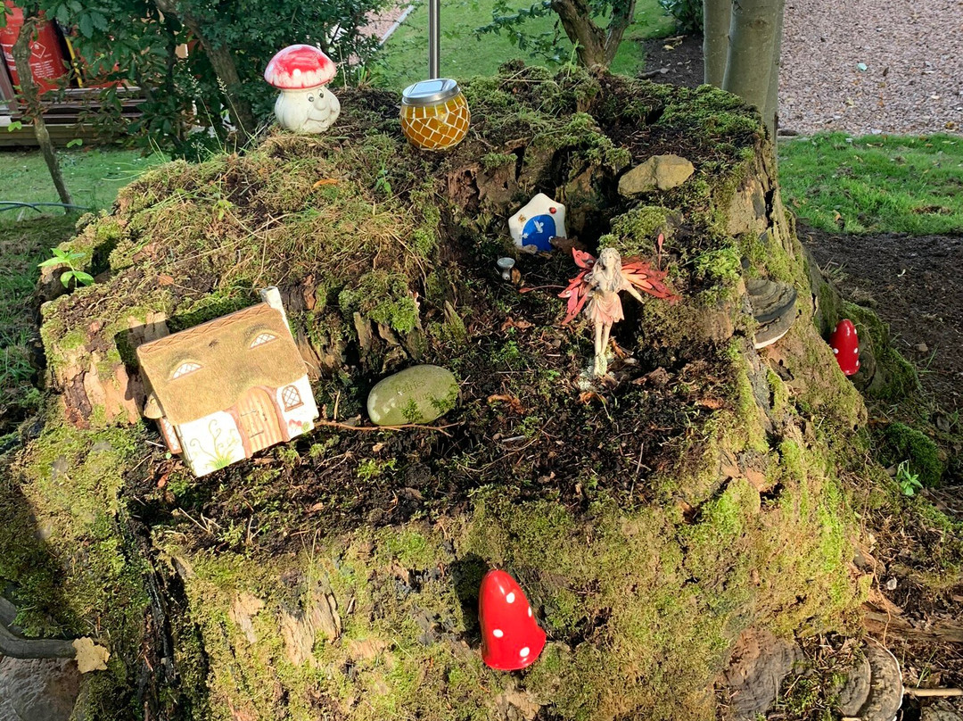 Letham Feus Park