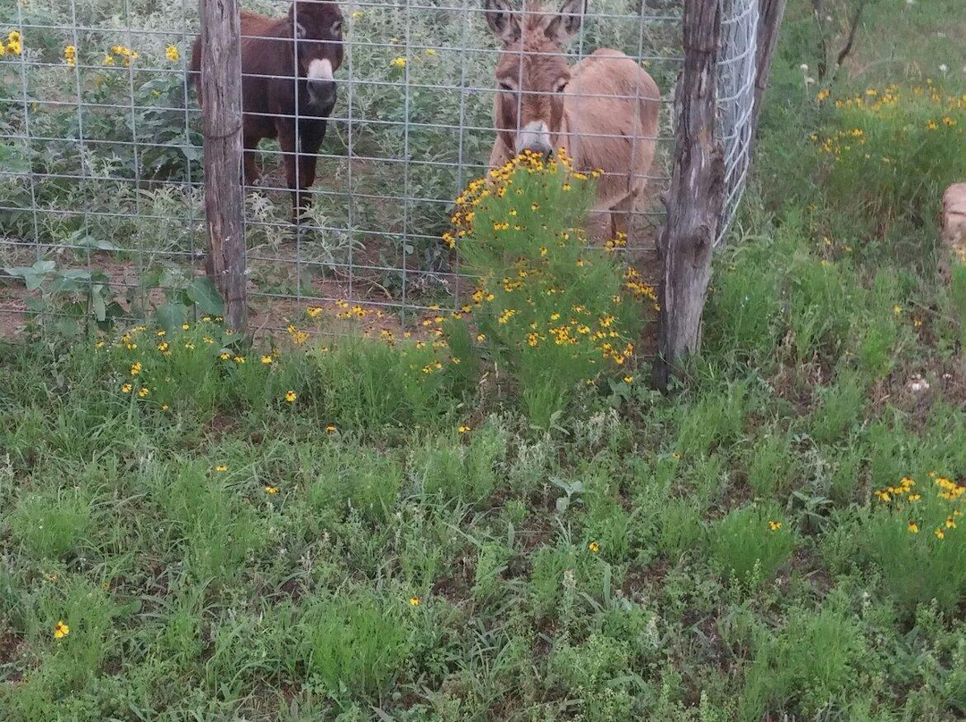 Circle Your Wagons B&B主图