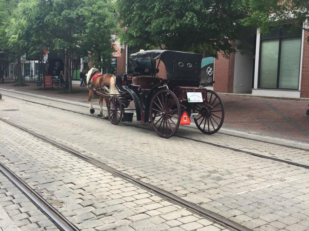Carriage Tours of Memphis-孟菲斯必去景点