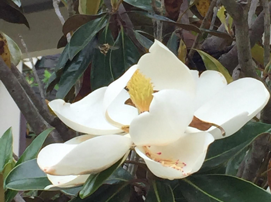 Oxbow Meadows Environmental Learning Center-哥伦布必去景点