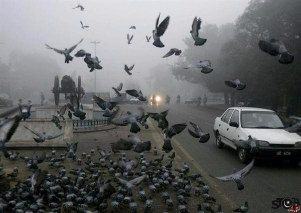 The Mall-拉合尔必去景点