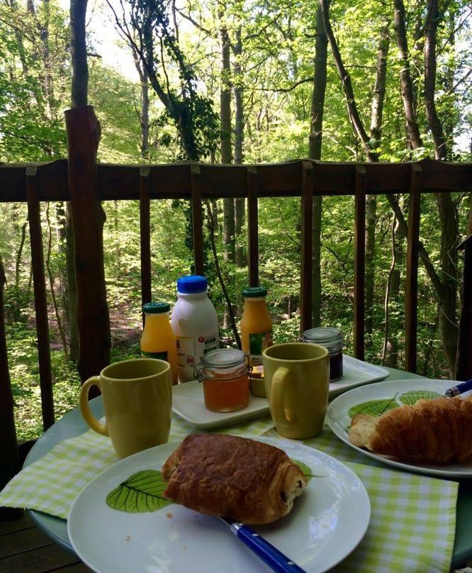 Cabane Nature