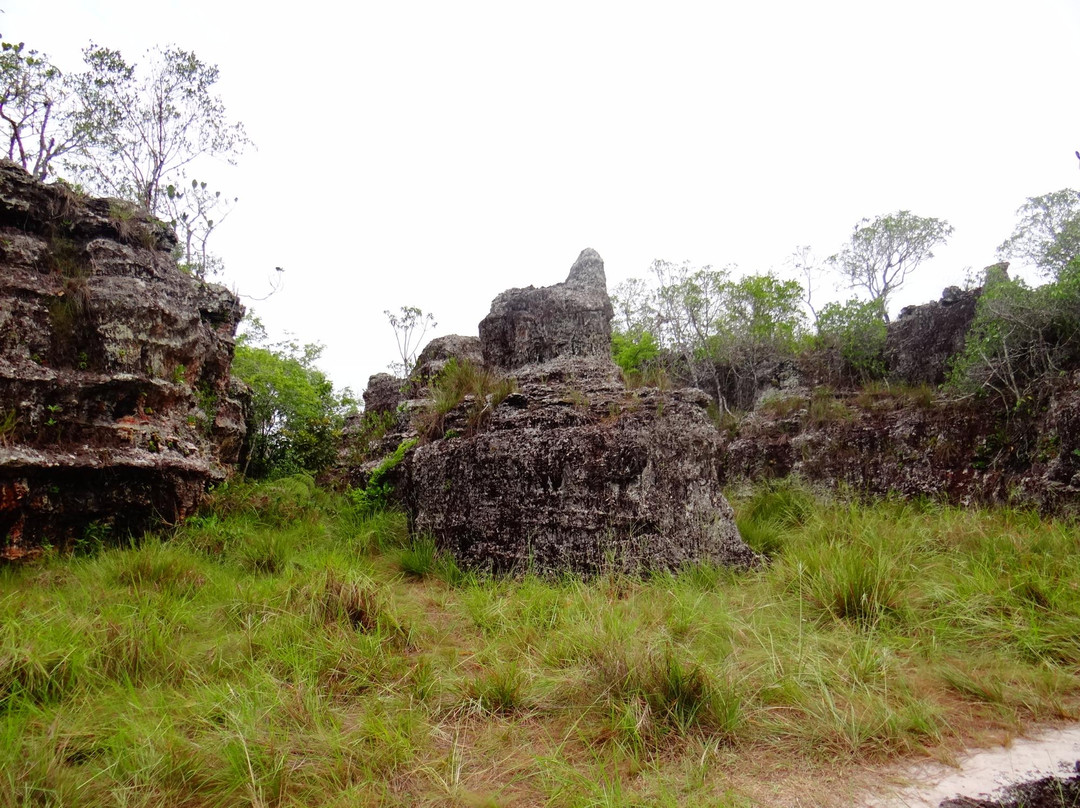 Stone Town景点图片