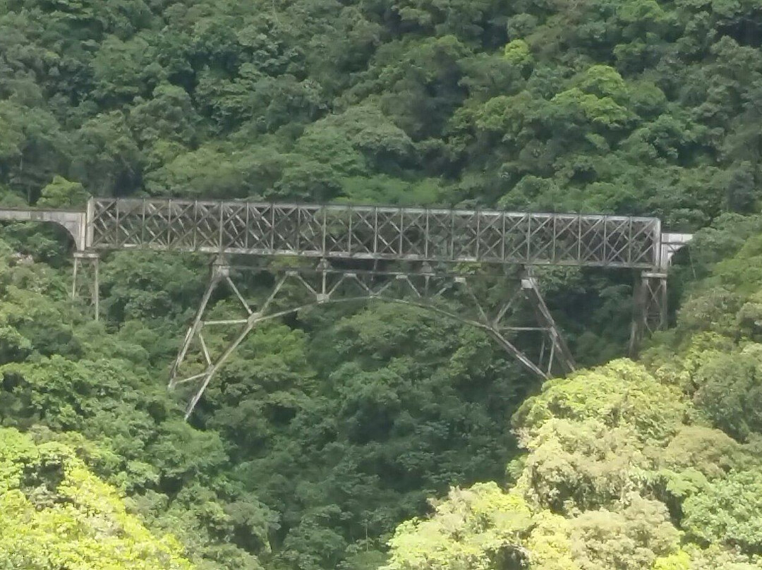 Ponte São João景点图片