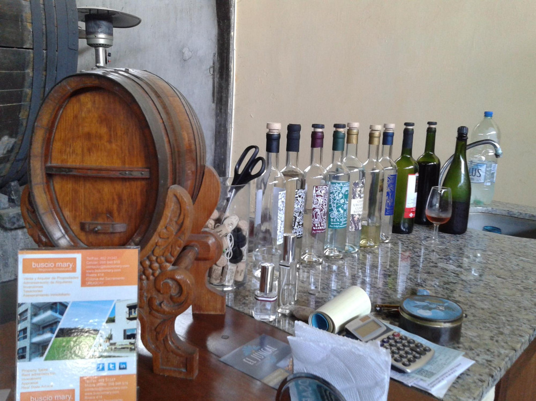 Bernardi Winery-科洛尼亚·德尔萨克拉门托城必去景点