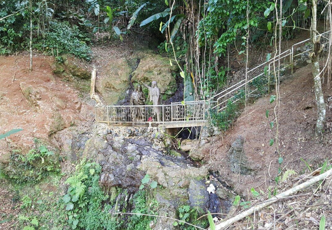 Maricao Forest Preserve景点图片
