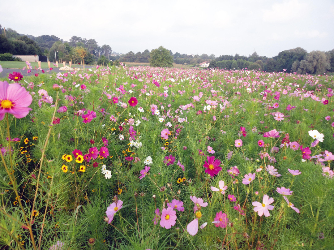 Les Couteliers Basques-Bidart必去景点
