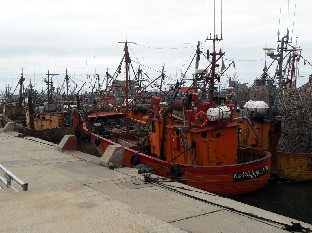 Centro Comercial Puerto-马德普拉塔必去景点