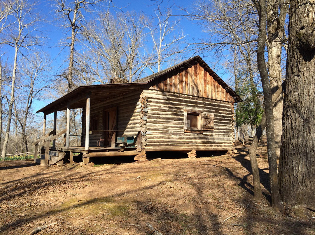 Mrs. Lee's Daffodil Garden-Gladewater必去景点