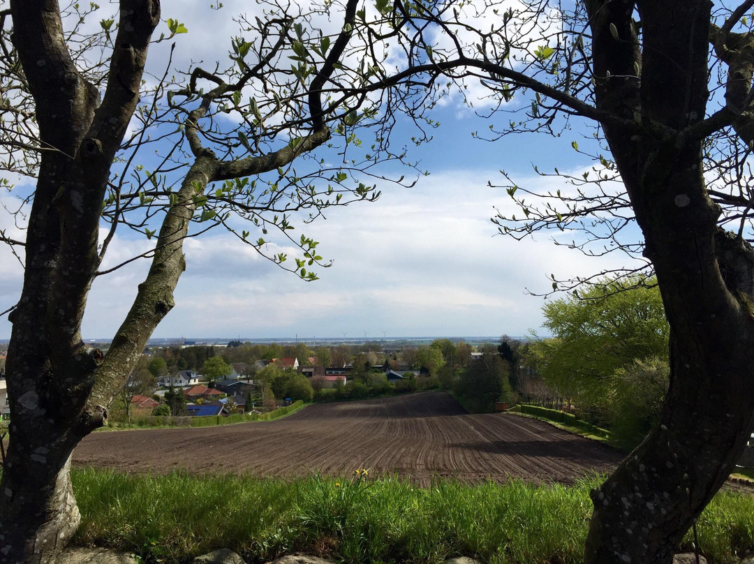 Nr. Tranders Kirke景点图片