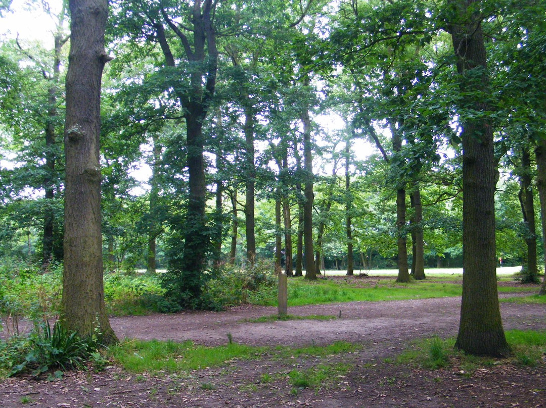 Belfairs Wood, Park and Nature Reserve景点图片