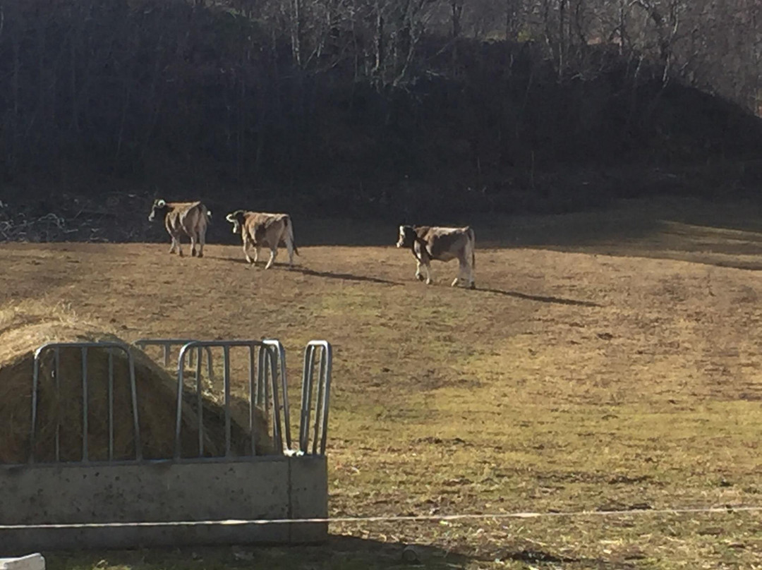 Hostal Ca L'Anton主图