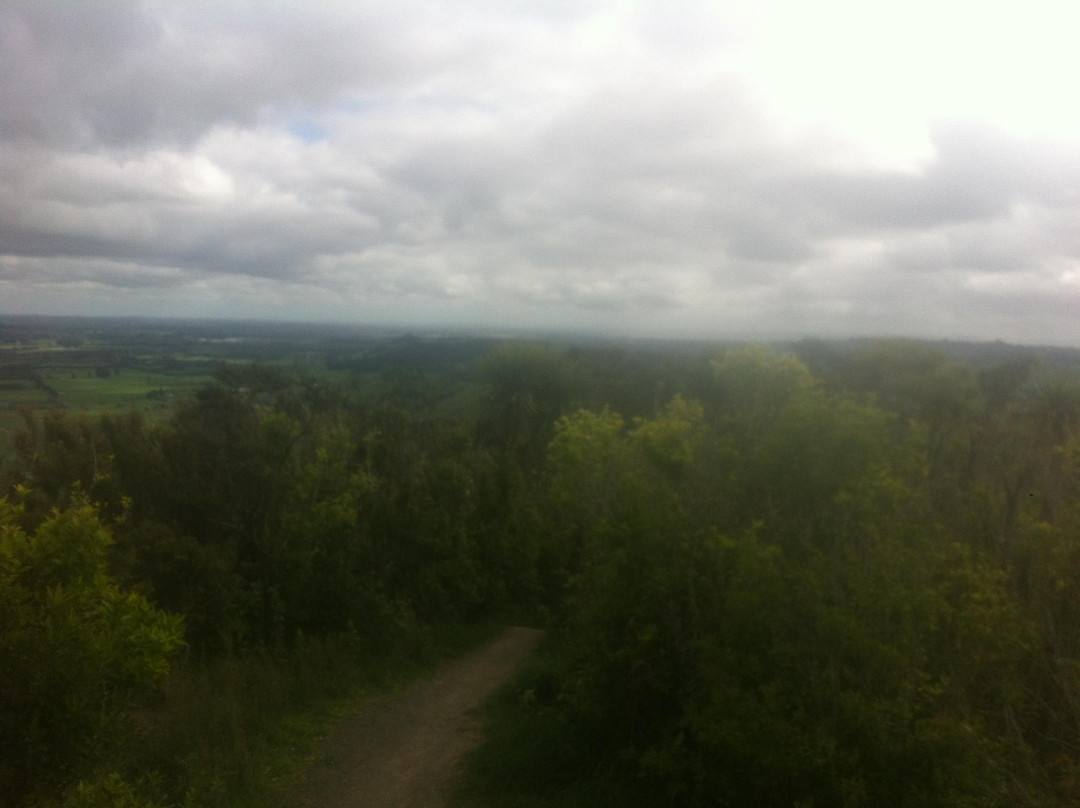 Clevedon Scenic Reserve景点图片