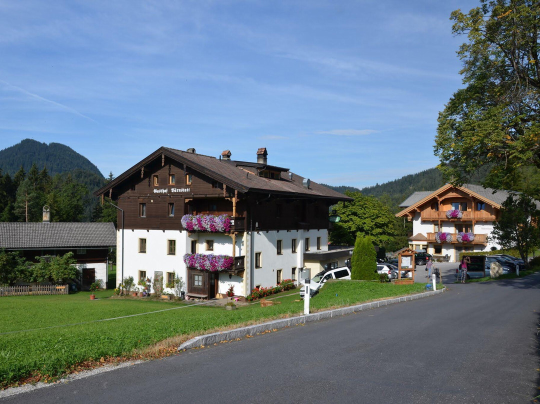 Hinterstein酒店住宿-Apart-Pension Barnstatt